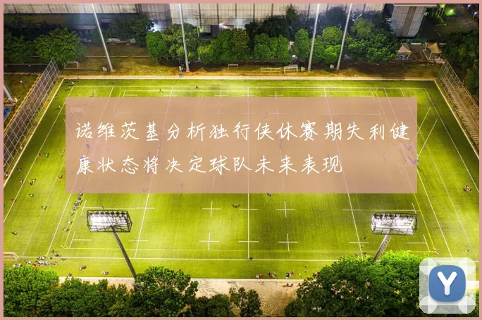 诺维茨基分析独行侠休赛期失利健康状态将决定球队未来表现